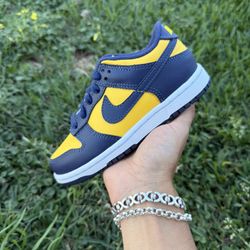 Nike Dunk Low PS “Michigan” Size 11C