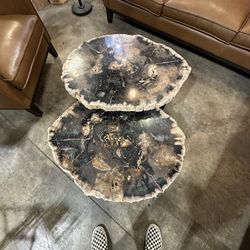 Petrified Wood, Epoxy, Nesting Tables Tables