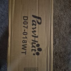 Dog Agility Set FREE