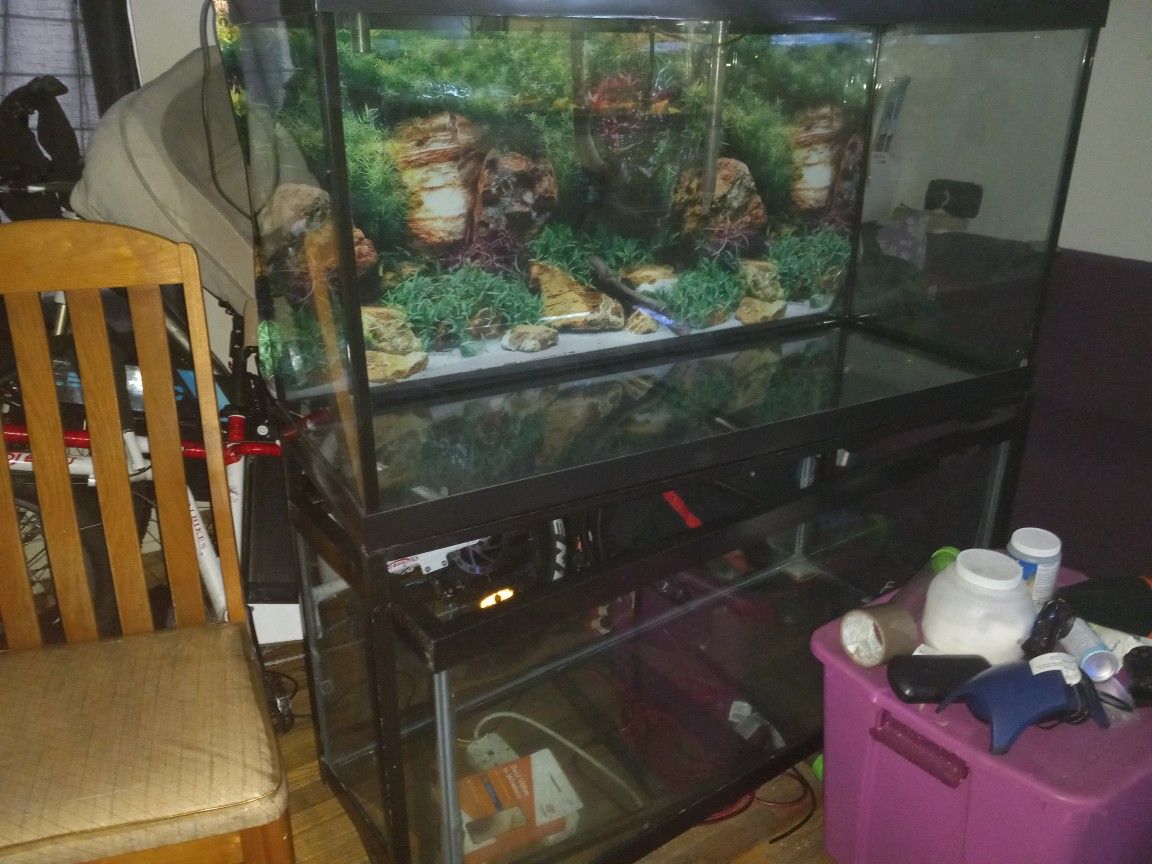 Aquarium 90gallon Also Have A 75gal Included.