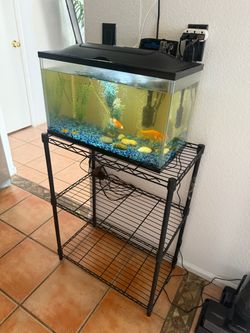 Fish tank with a stand and accessories