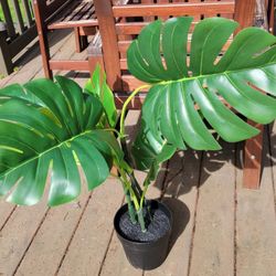 34"Tall. Genuine Faux Plants #3