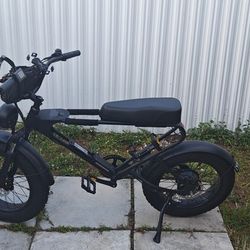 Electric Bike