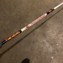 Big bear ocean aunt catfish fishing rod