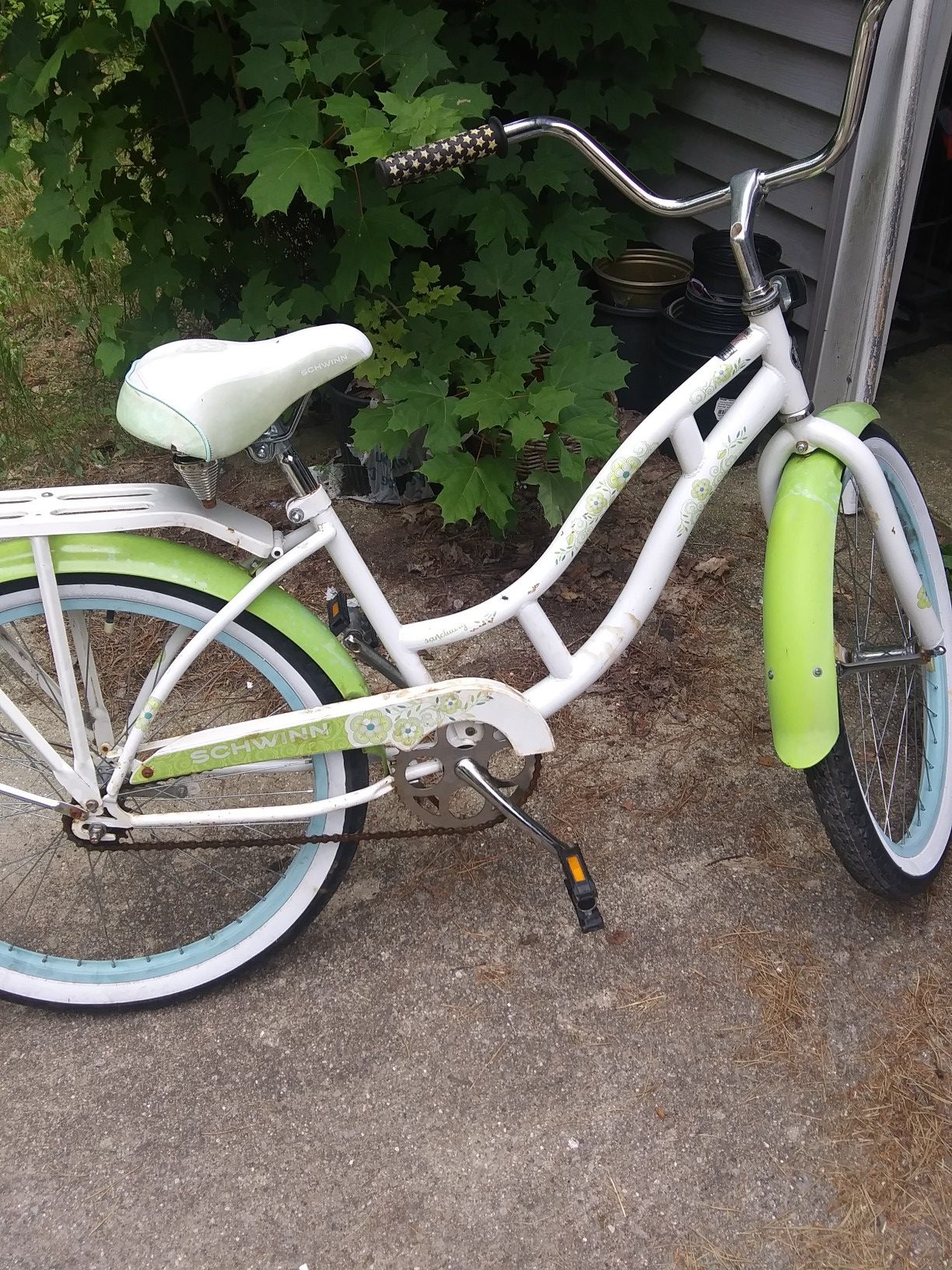 Swhinn Beach Cruiser