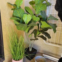 Faux Fiddle Leaf Fig Plant Boho Trendy Decor