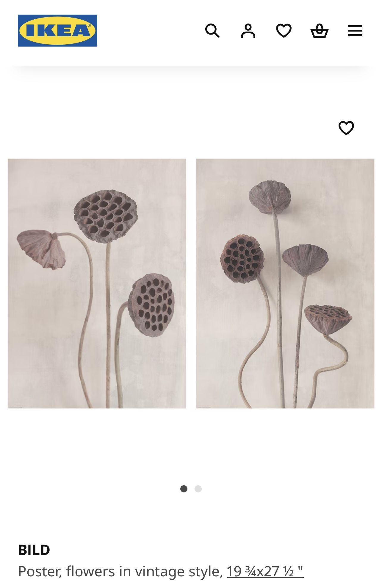 IKEA BILD TWO Different Posters Flowers in vintage style, 19 ¾x27 ½" wall Art,