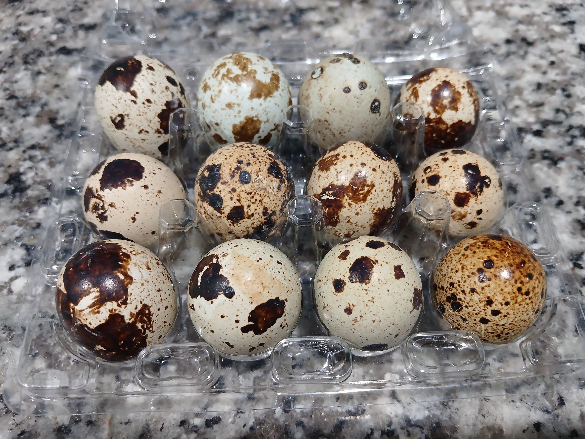 Quail Eggs