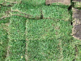 Grass For Sale 
