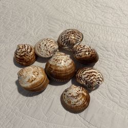 Shells