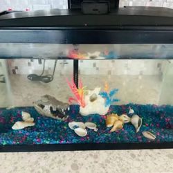 Complete Fish Tank Set - 10 Gallon