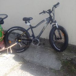  Electric Bike (RAD POWER BIKES)