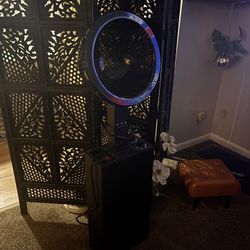 Hooded Professional Hair Dryer 