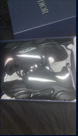 dior b22