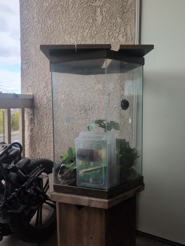 Fish Tank