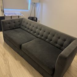 West Elm Sleeper Sofa