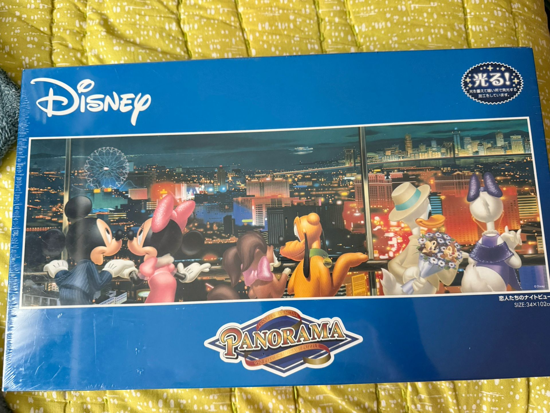 Panorama Jigsaw Puzzle 950 Pcs