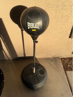 Everlast reflex bag