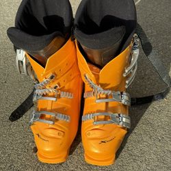 Ski Boots 