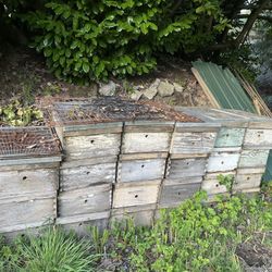 Bee Boxes, Bee Hives