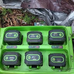 Greenworks 6 Port Charger & Batteries 