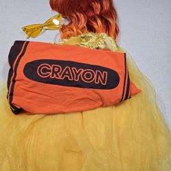 Orange Theme Costume- Wig & Glasses - $10