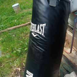 Everlast Punching Bag 