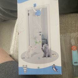 Cat toy