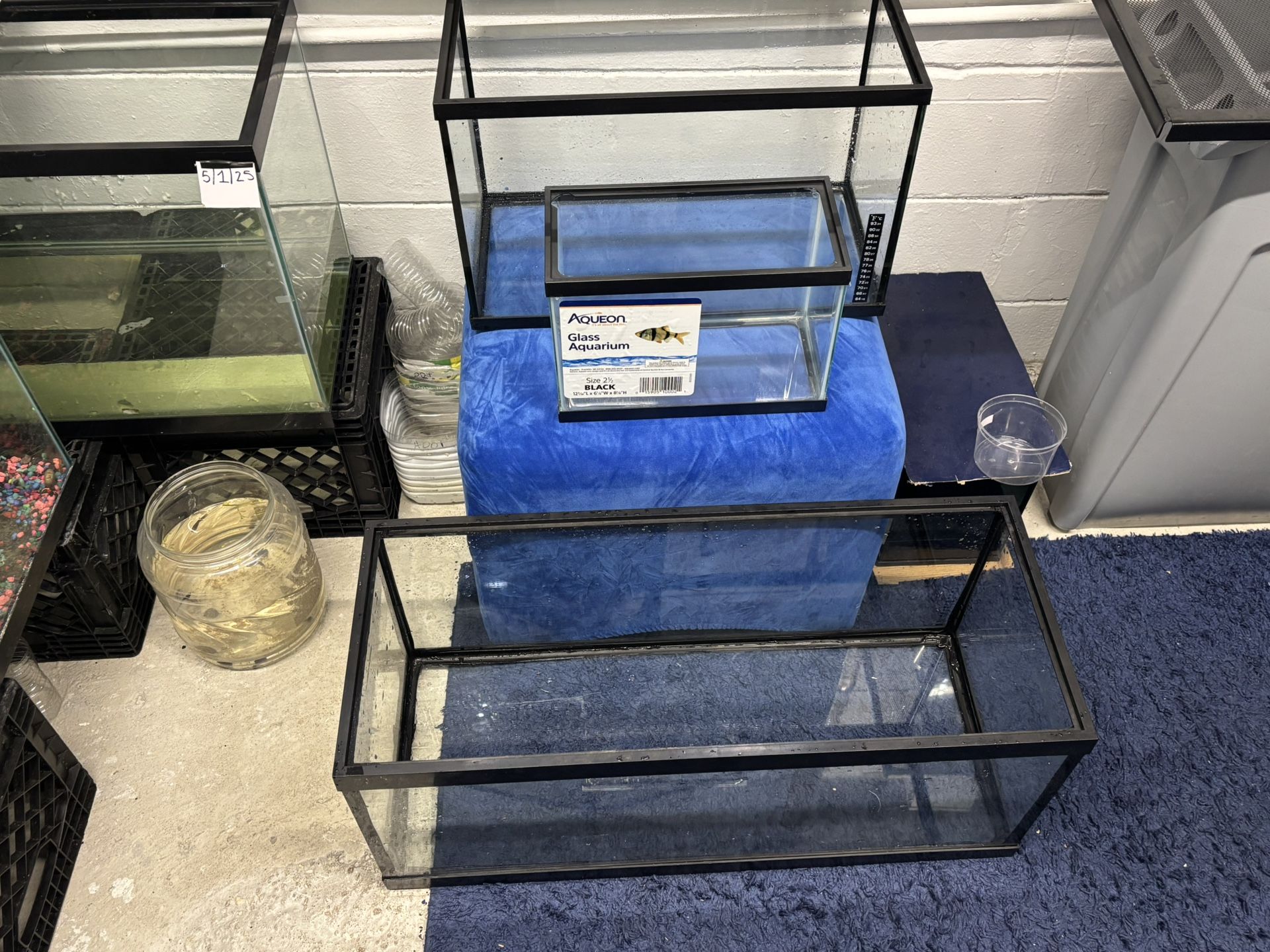 Fish Tank