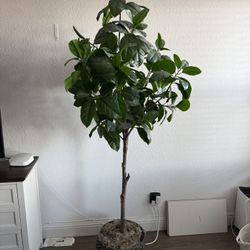Planta Artificial 