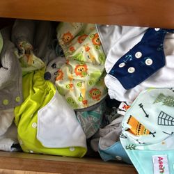 Cloth Diaper Shells & Inserts