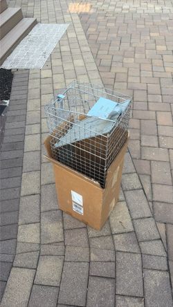 Large animal trap