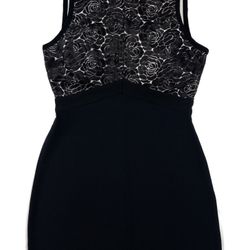 A.L.C. Varney Floral Lace-Bodice Dress NEW WITH TAGS – RETAIL PRICE $594