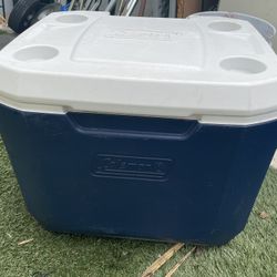 Coleman Cooler 