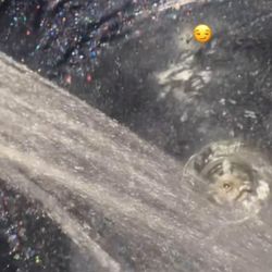 Salon/Spa/Pedicure Chair