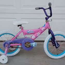 Ready To Ride 16" With Training Wheels 