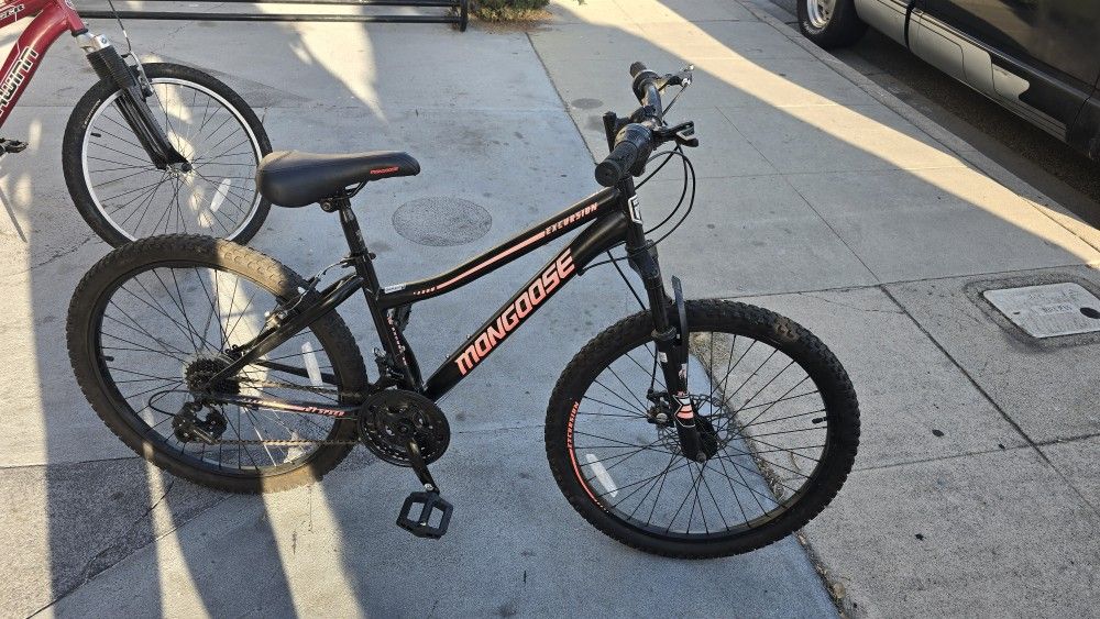 take both bikes 24 in for $270 in Burbank CA
