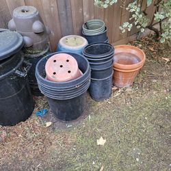 Plants Tree pots