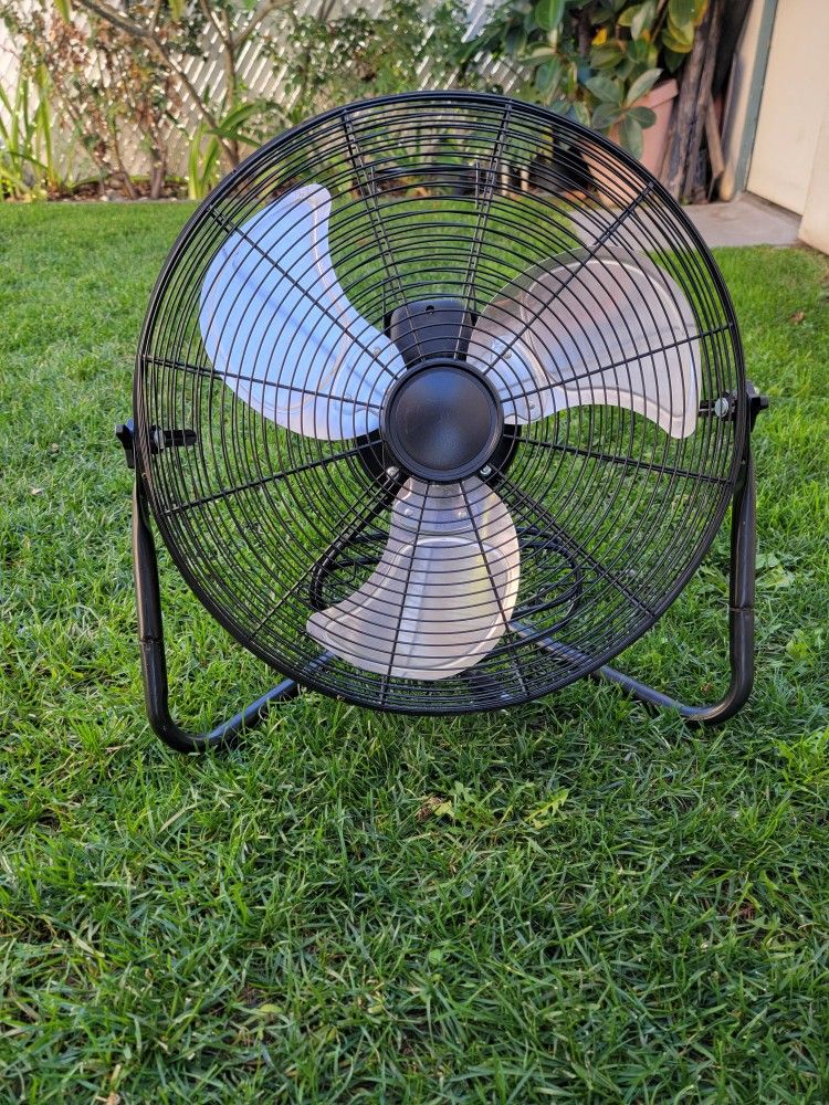 Fan