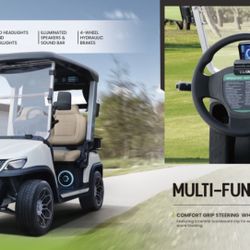 Tara Electric Vehicle Roadster 2