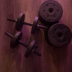 Adjustable Dumbbells 