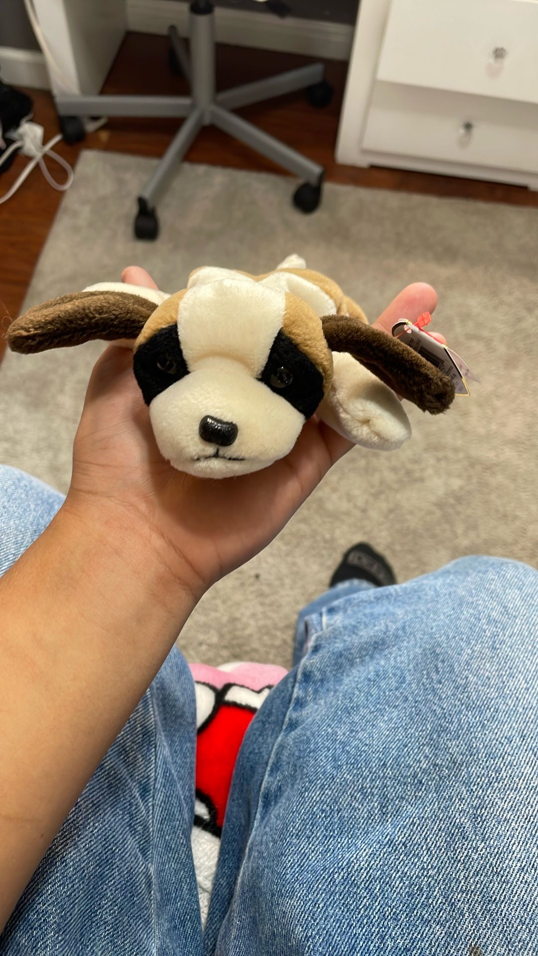 Rare TY BEANIE BABY “Bernie”