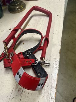 Service/guide dog gear set