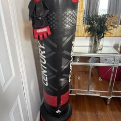 Punching Bag