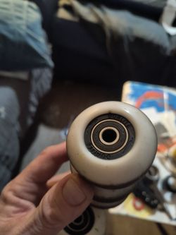 Dualight wheels and holiday bearings