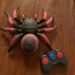 Remote Spider