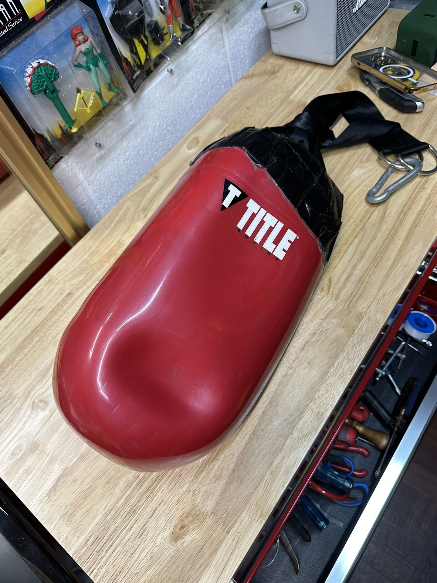 Punching Aqua Bag