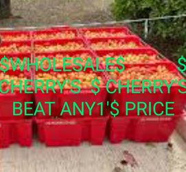Wholesale $ Cherrys  Ill Beat Anyone's $ Rainier And Bing Cheese