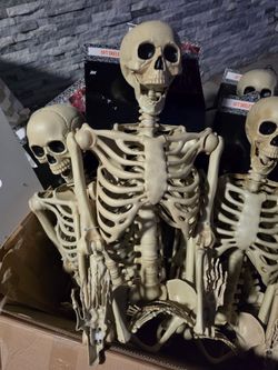 5ft Full Body Halloween Skeleton