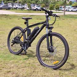 TotGuard Electric Bike